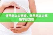 怀孕怎么办离婚，怀孕怎么办离婚手续流程