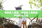 导致他人离婚，导致他人离婚会判刑吗判几年