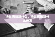协议离婚算什么，协议离婚算什么关系