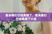 前夫我们已经离婚了，前夫我们已经离婚了小说
