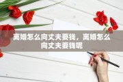 离婚怎么向丈夫要钱，离婚怎么向丈夫要钱呢
