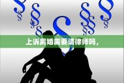 上诉离婚需要请律师吗，