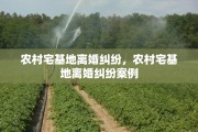 农村宅基地离婚纠纷，农村宅基地离婚纠纷案例