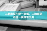 二胎意见不统一离婚，二胎意见不统一离婚怎么办