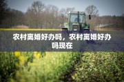 农村离婚好办吗，农村离婚好办吗现在