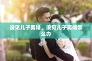 没见儿子离婚，没见儿子离婚怎么办