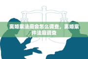 离婚案法庭会怎么调查，离婚案件法庭调查
