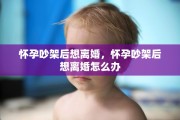 怀孕吵架后想离婚，怀孕吵架后想离婚怎么办