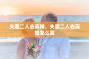 夫妻二人去离婚，夫妻二人去离婚怎么离