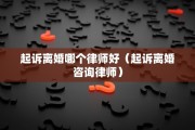 起诉离婚哪个律师好（起诉离婚咨询律师）