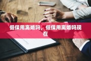 离婚纠纷可以上诉吗，