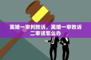 离婚一审判败诉，离婚一审败诉二审该怎么办