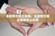 法律男方提出离婚，法律男方提出离婚怎么处理