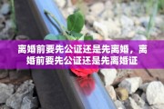离婚前要先公证还是先离婚，离婚前要先公证还是先离婚证