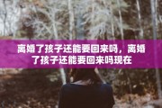 离婚了孩子还能要回来吗，离婚了孩子还能要回来吗现在