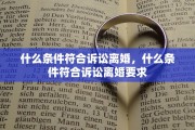 什么条件符合诉讼离婚，什么条件符合诉讼离婚要求
