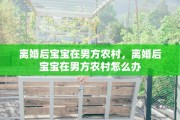 离婚后宝宝在男方农村，离婚后宝宝在男方农村怎么办