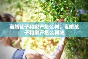 离婚孩子和家产怎么判，离婚孩子和家产怎么判决