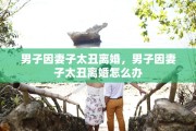 男子因妻子太丑离婚，男子因妻子太丑离婚怎么办