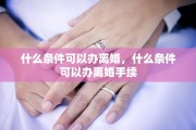什么条件可以办离婚，什么条件可以办离婚手续
