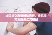 法院提交离婚诉讼流程，法院提交离婚诉讼流程图