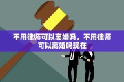 不用律师可以离婚吗，不用律师可以离婚吗现在