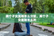 两个子女离婚怎么分配，两个子女离婚怎么判