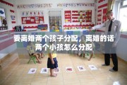 要离婚两个孩子分配，离婚的话两个小孩怎么分配