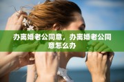 办离婚老公同意，办离婚老公同意怎么办