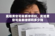 离婚费官司需要律师吗，离婚费官司需要律师吗多少钱