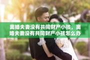 离婚夫妻没有共同财产小孩，离婚夫妻没有共同财产小孩怎么办