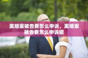 离婚案被告要怎么申诉，离婚案被告要怎么申诉呢