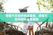 感情不合如何快速离婚，感情不合如何快速离婚呢