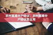农村离婚分户协议，农村离婚分户协议怎么写