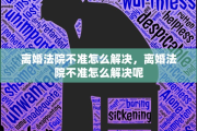 离婚法院不准怎么解决，离婚法院不准怎么解决呢