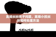 离婚纠纷孩子问题，离婚小孩纠纷如何处理方法