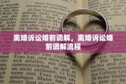 离婚诉讼婚前调解，离婚诉讼婚前调解流程