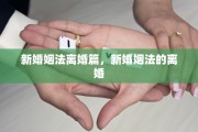 新婚姻法离婚篇，新婚姻法的离婚