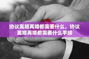 协议离婚再婚都需要什么，协议离婚再婚都需要什么手续