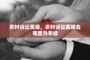 农村诉讼离婚，农村诉讼离婚去哪里办手续