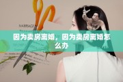 因为卖房离婚，因为卖房离婚怎么办