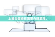上海办离婚在哪里办理流程，