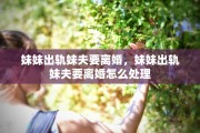 妹妹出轨妹夫要离婚，妹妹出轨妹夫要离婚怎么处理