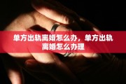 单方出轨离婚怎么办，单方出轨离婚怎么办理