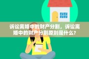 诉讼离婚中的财产分割，诉讼离婚中的财产分割原则是什么?