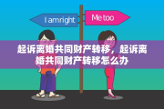 起诉离婚共同财产转移，起诉离婚共同财产转移怎么办