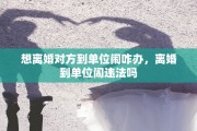 想离婚对方到单位闹咋办，离婚到单位闹违法吗