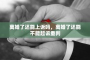 离婚了还能上诉吗，离婚了还能不能起诉重判
