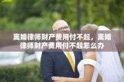 离婚律师财产费用付不起，离婚律师财产费用付不起怎么办