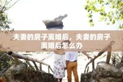 夫妻的房子离婚后，夫妻的房子离婚后怎么办